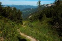 2014-08-02_04Zum-Totenkirchl (103).JPG